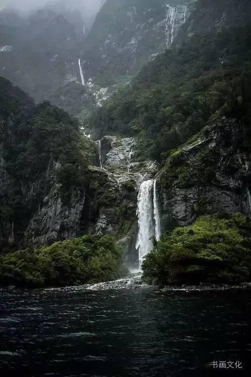 新华全媒+|“中国最美小鸟”在厦门筑巢安家